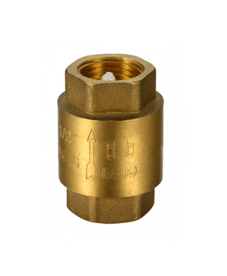 bossini brass spring check valve 4"